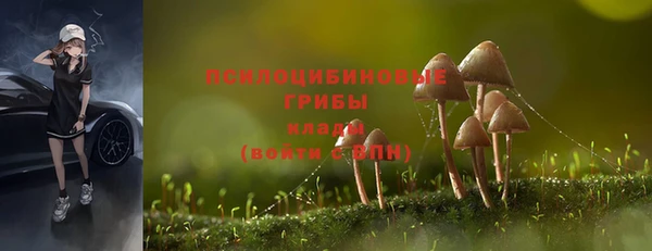 таблы Алексеевка