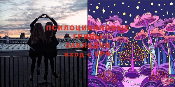 таблы Алексеевка